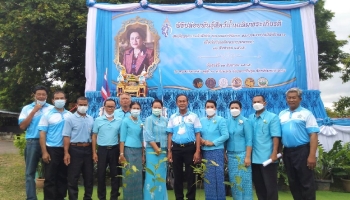ปล่อยพันธุ์ปลา