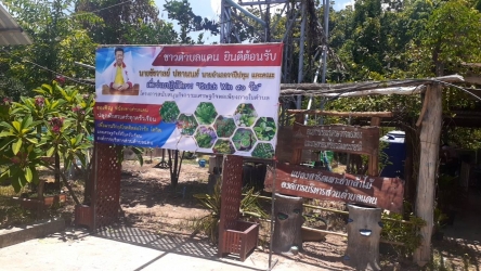 ปลูกพืชผักสวนครัวสร้างความมั่นคงทางอาหารในครัวเรือน_1