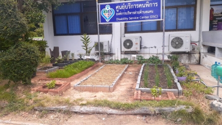 ปลูกพืชผักสวนครัวสร้างความมั่นคงทางอาหารในครัวเรือน_3